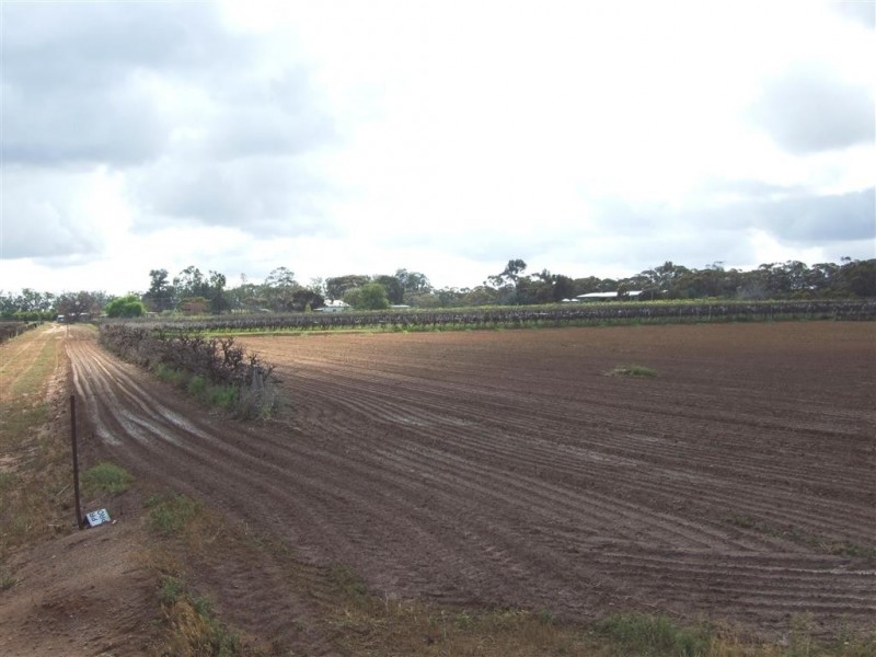 Lot 4 Katarapko Cr Winkie via, Berri SA 5343