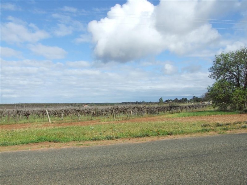 Lot 4 Katarapko Cr Winkie via, Berri SA 5343