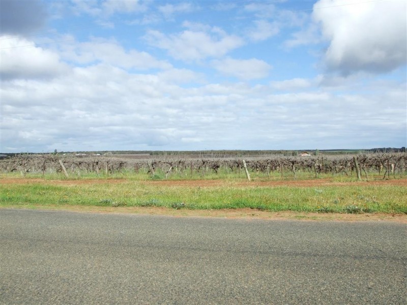 Lot 4 Katarapko Cr Winkie via, Berri SA 5343