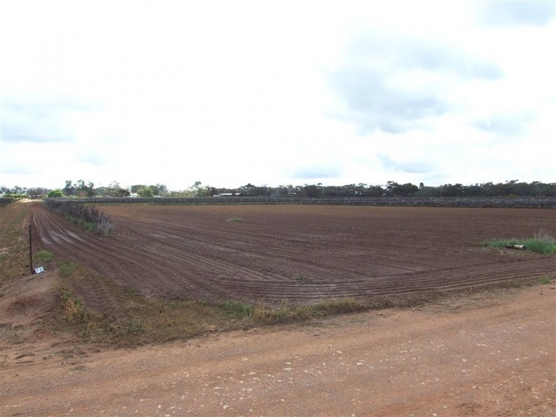 Lot 4 Katarapko Cr Winkie via, Berri SA 5343