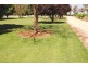 20197 Renmark Ave, Renmark SA 5341