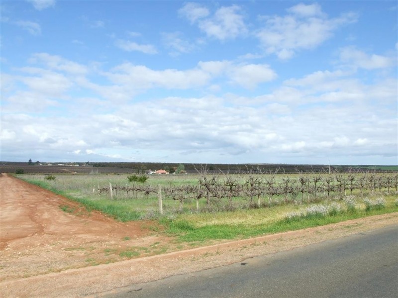 Lot 2 Garwood Lane Winkie via, Berri SA 5343