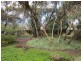 54 Slaughter Rd, Barmera SA 5345