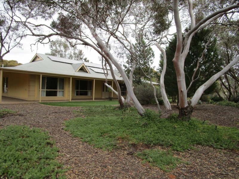 54 Slaughter Rd, Barmera SA 5345