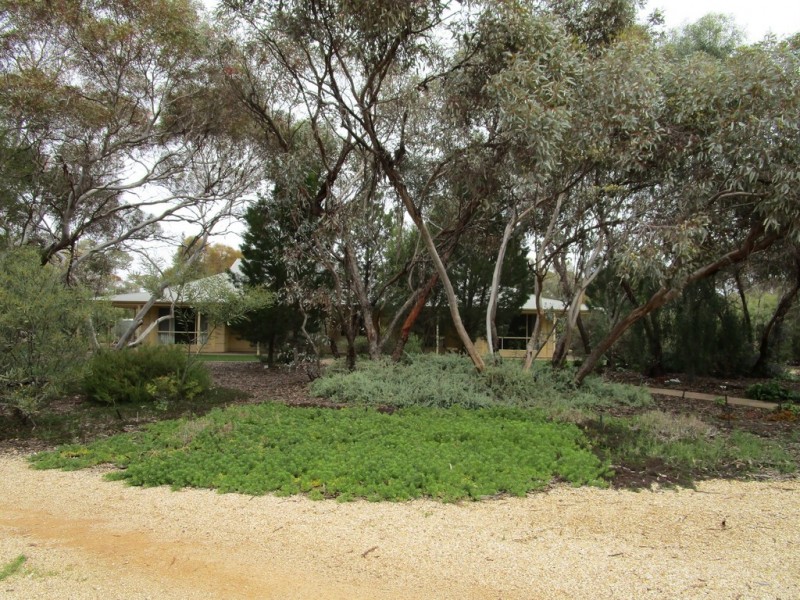 54 Slaughter Rd, Barmera SA 5345