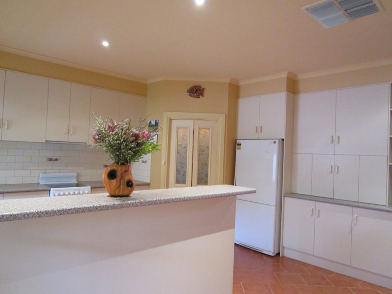 54 Slaughter Rd, Barmera SA 5345
