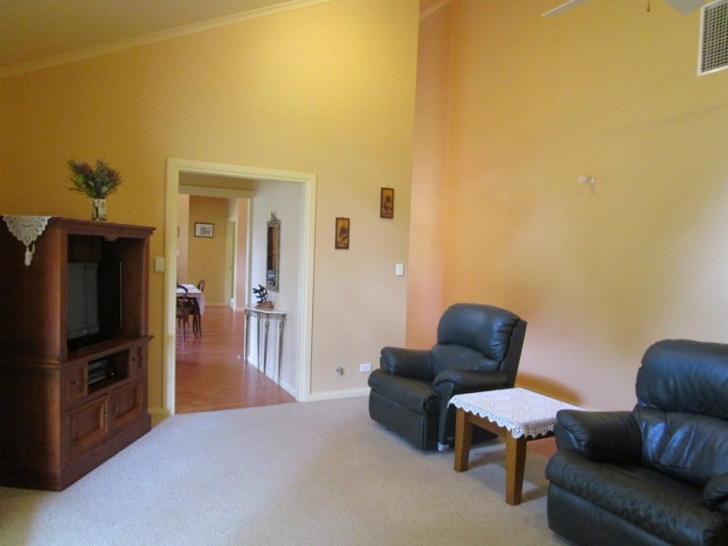 54 Slaughter Rd, Barmera SA 5345