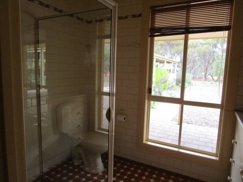 54 Slaughter Rd, Barmera SA 5345