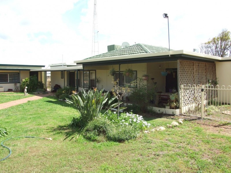 30 Yeo Rd Loveday via, Barmera SA 5345