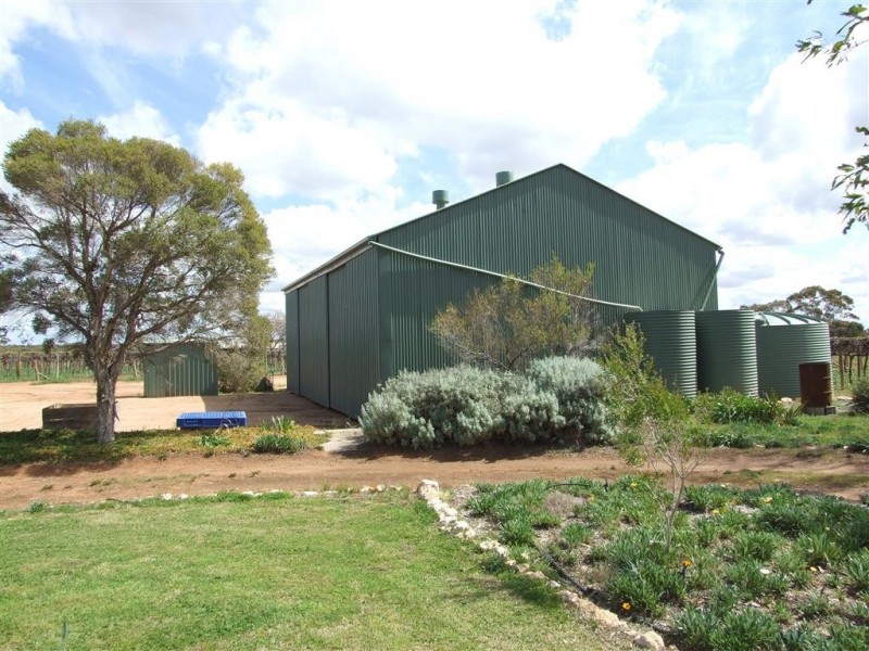 30 Yeo Rd Loveday via, Barmera SA 5345