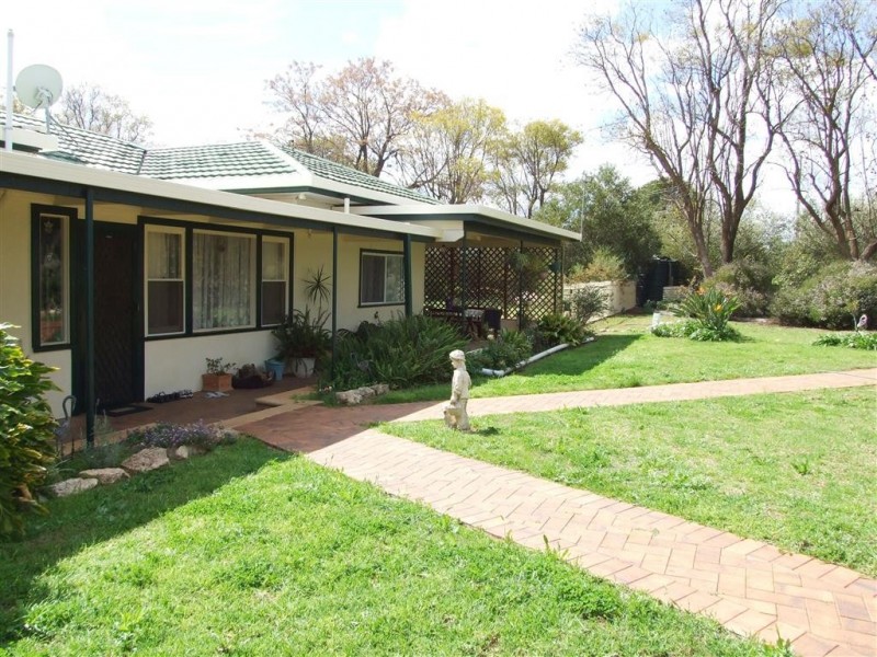 30 Yeo Rd Loveday via, Barmera SA 5345