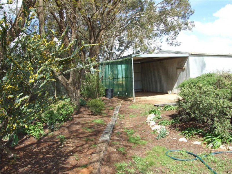 30 Yeo Rd Loveday via, Barmera SA 5345