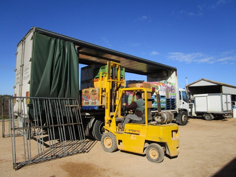 160 Gordon Rd, Barmera SA 5345