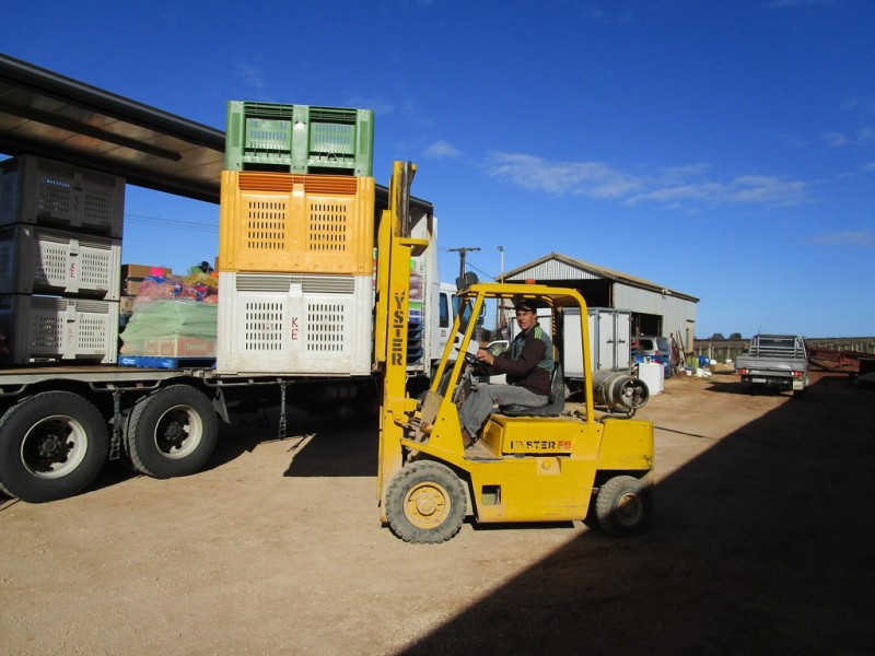 160 Gordon Rd, Barmera SA 5345