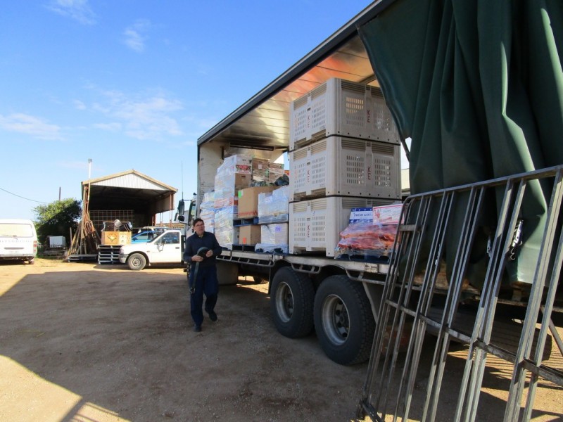 160 Gordon Rd, Barmera SA 5345