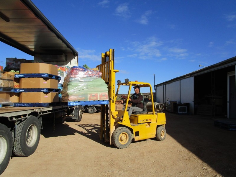 160 Gordon Rd, Barmera SA 5345