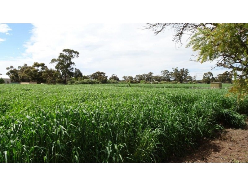 5 Emu Flat Road, Keith SA 5267