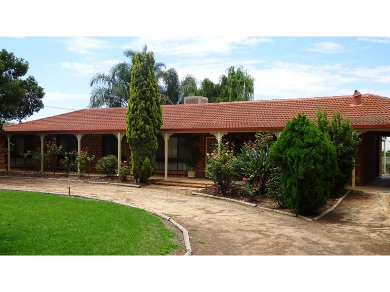 467 Chowilla Street, Renmark SA 5341