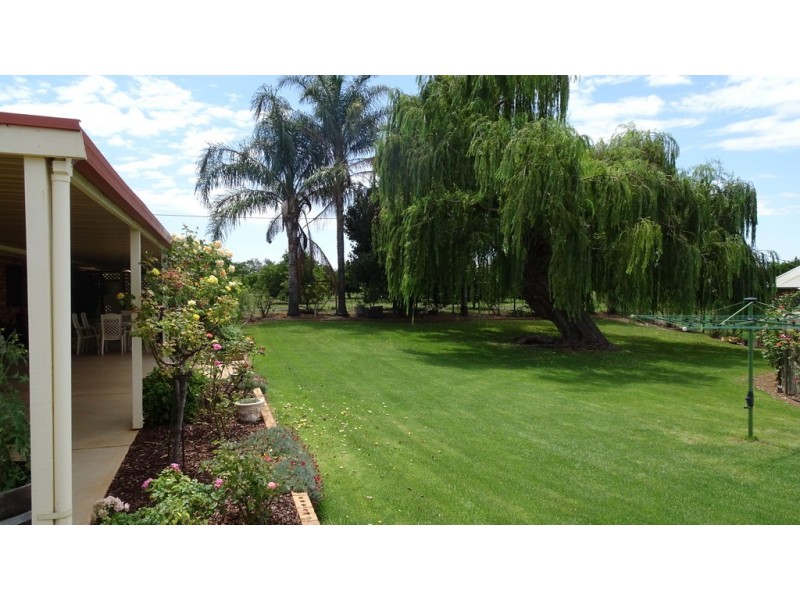 467 Chowilla Street, Renmark SA 5341