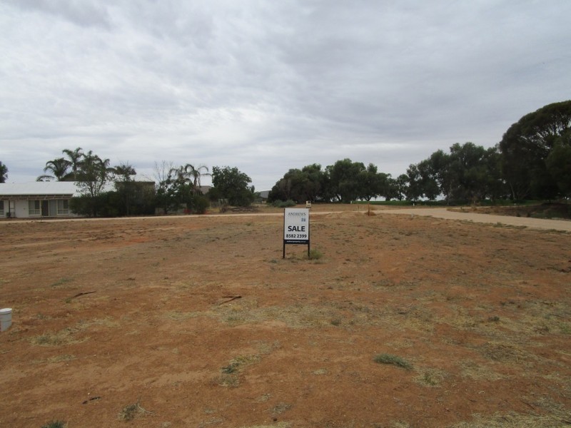 10 Fairway Avenue, Barmera SA 5345