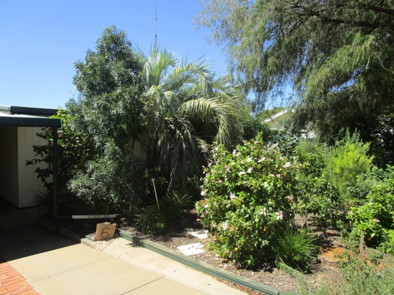 6 Clark Street, Berri SA 5343