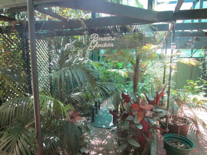 6 Clark Street, Berri SA 5343