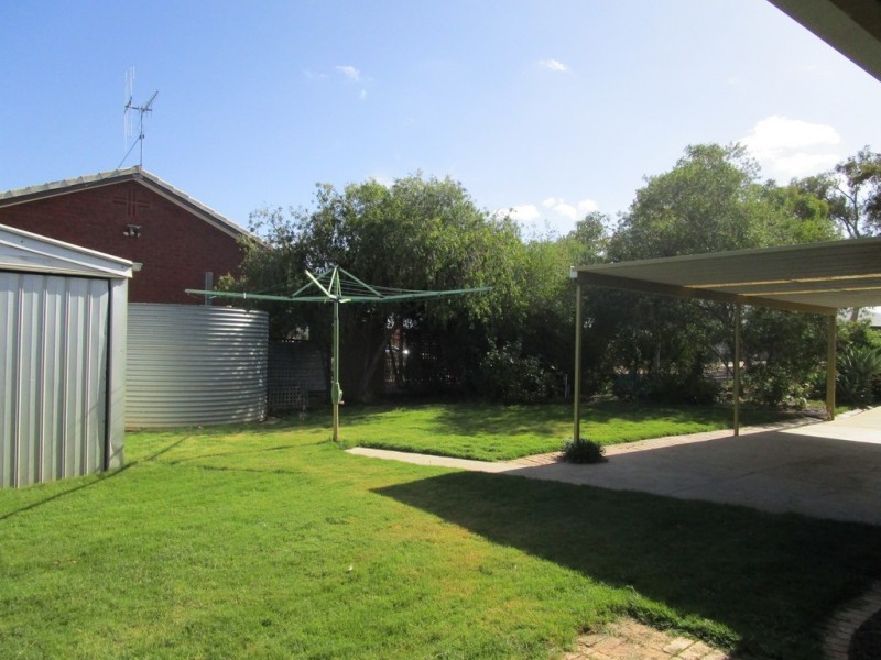 19 Hardwick St, Barmera SA 5345