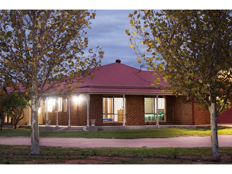 212 McKenzie Road, Barmera SA 5345