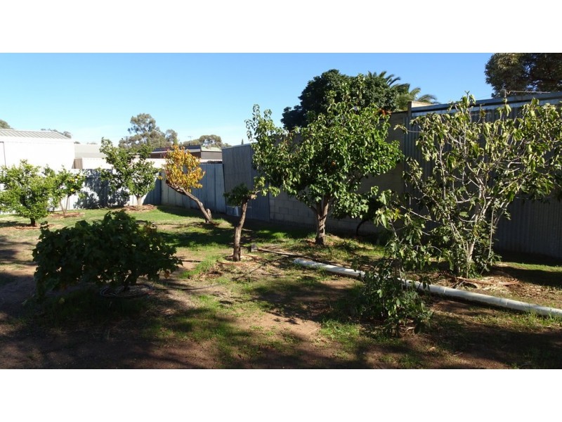 57 Seventeenth Street, Renmark SA 5341