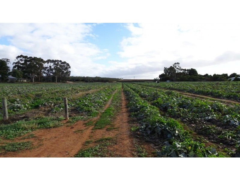 266 Old Cooltong Road, Cooltong SA 5341