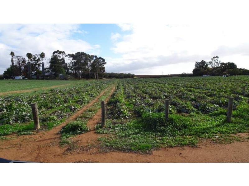 266 Old Cooltong Road, Cooltong SA 5341