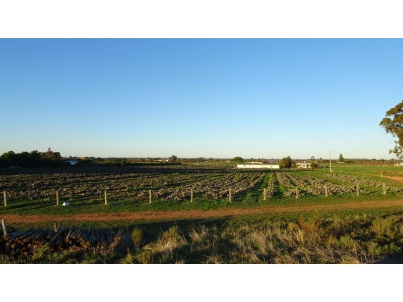 266 Old Cooltong Road, Cooltong SA 5341