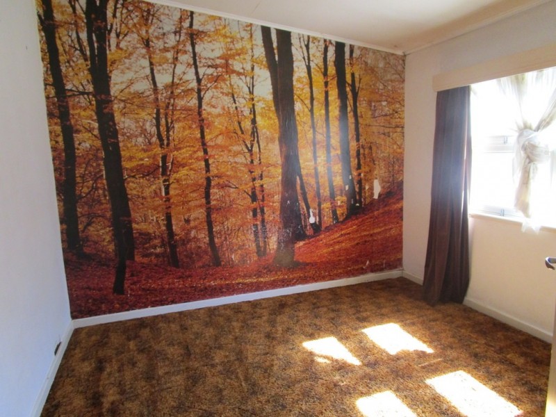 11 Bonnar Street, Barmera SA 5345