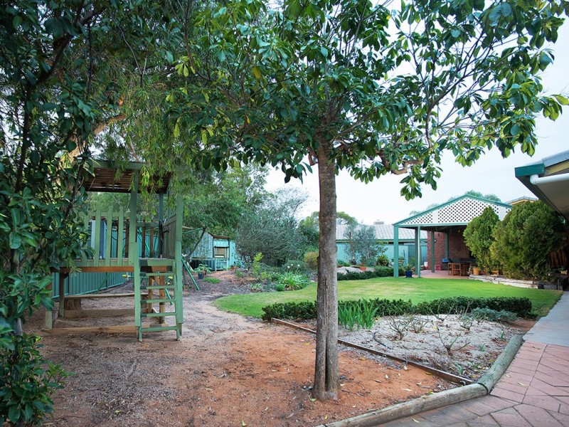 54 Derrick St, Berri SA 5343