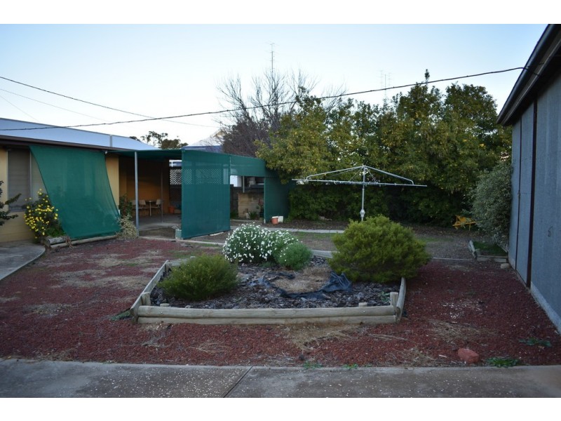 7 Homburg Terrace, Pinnaroo SA 5304