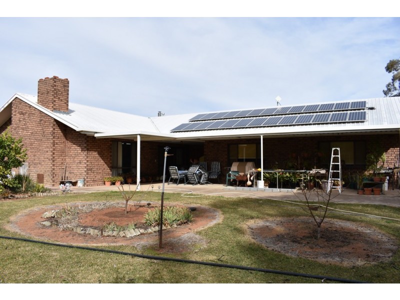 379 Ral Ral Avenue, Renmark SA 5341