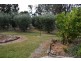 379 Ral Ral Avenue, Renmark SA 5341