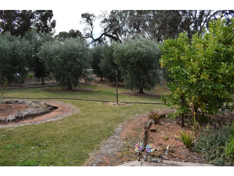 379 Ral Ral Avenue, Renmark SA 5341