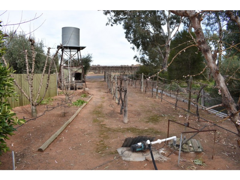 379 Ral Ral Avenue, Renmark SA 5341