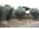 379 Ral Ral Avenue, Renmark SA 5341