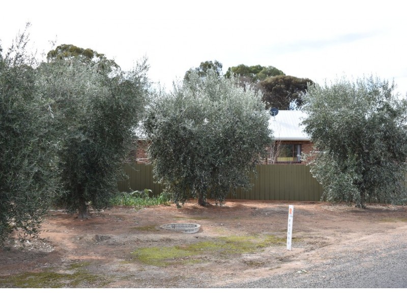 379 Ral Ral Avenue, Renmark SA 5341