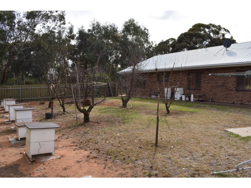 379 Ral Ral Avenue, Renmark SA 5341