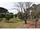 379 Ral Ral Avenue, Renmark SA 5341