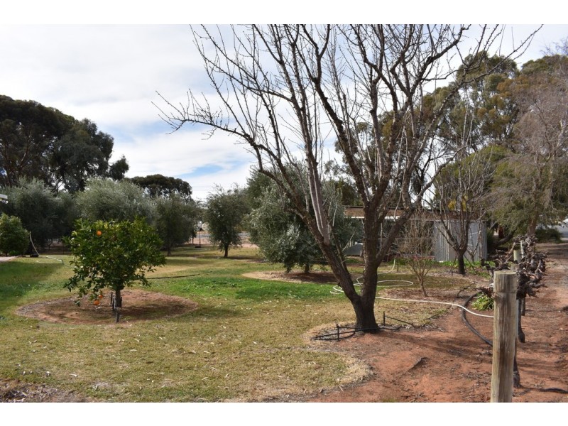379 Ral Ral Avenue, Renmark SA 5341