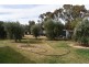 379 Ral Ral Avenue, Renmark SA 5341