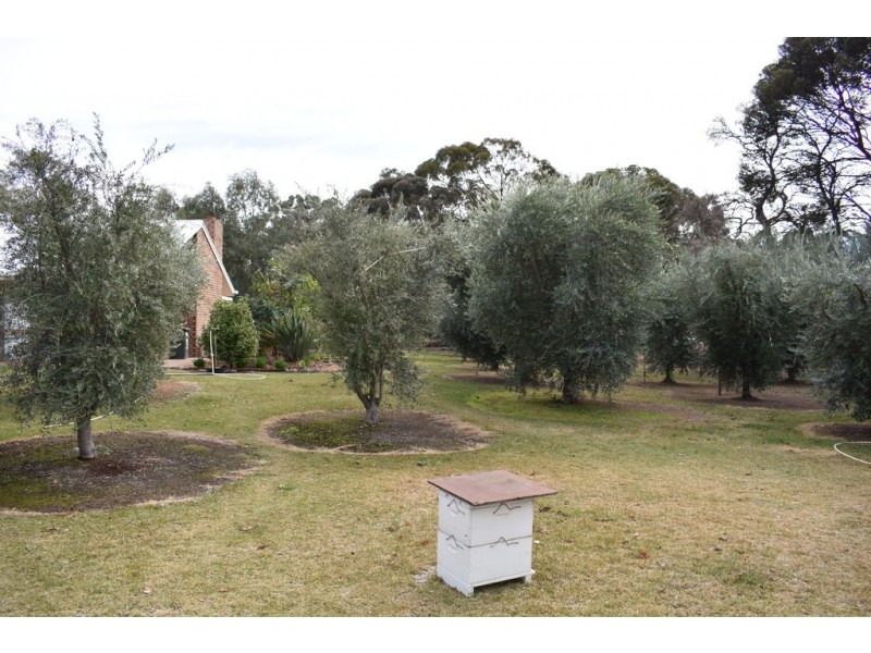 379 Ral Ral Avenue, Renmark SA 5341