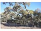 33 Mine Road, Blinman SA 5730