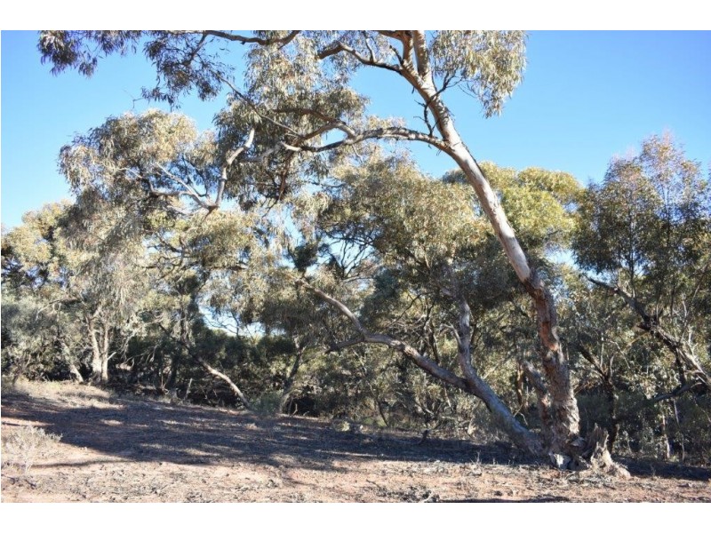 33 Mine Road, Blinman SA 5730