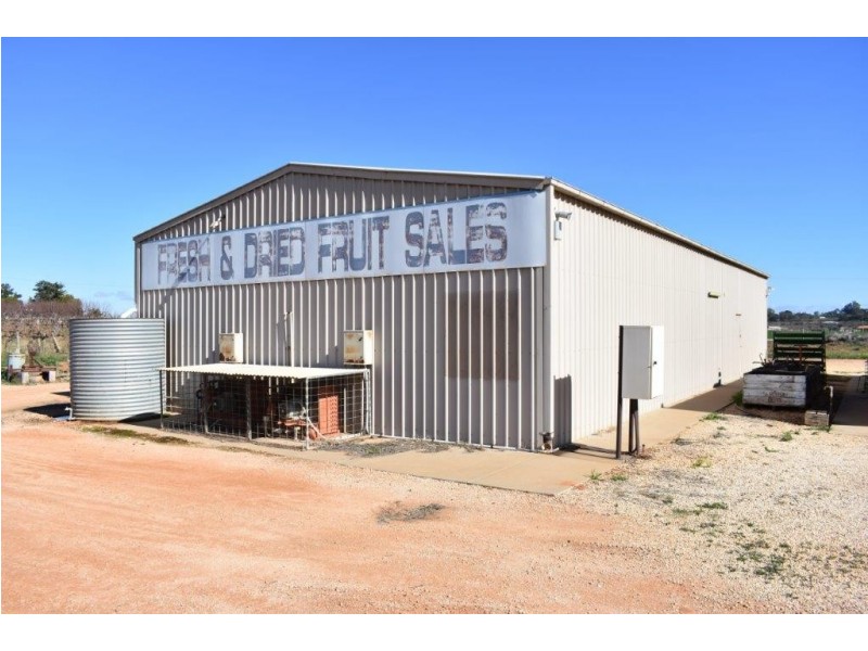 942 Old Sturt Highway, Berri SA 5343