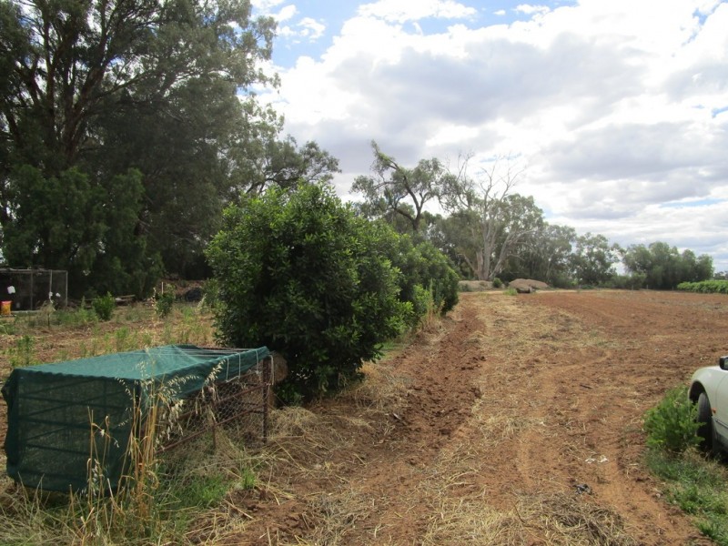 8 Arnold Coates Rd, Cobdogla SA 5346